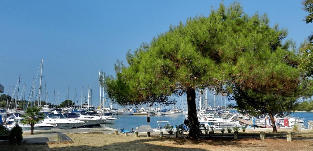 Apartment Zovko Poreč Eksteriør bilde